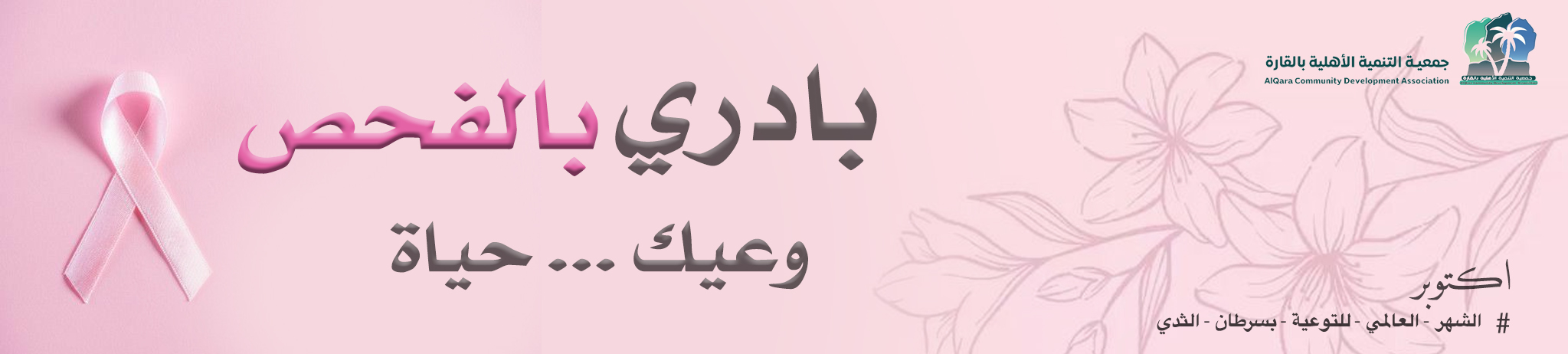 جمعية التنمية الأهلية بالقارة